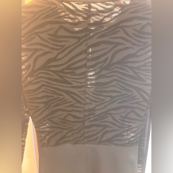 Sexy Black Zebra Sheer Sleeve Dress - Picture 9 of 9